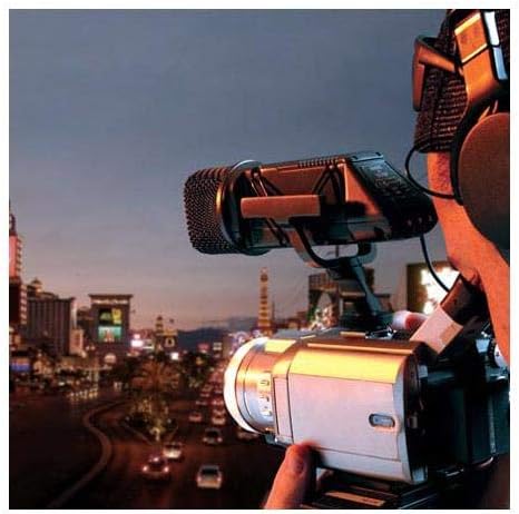 Stereo VideoMic(SVM)