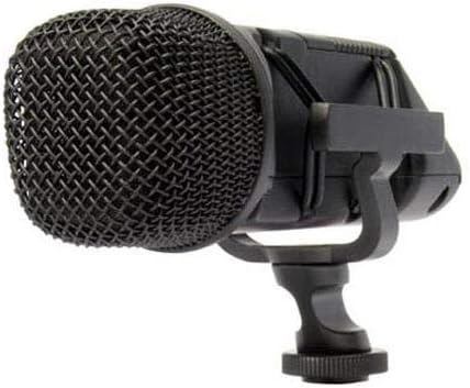 Stereo VideoMic(SVM)