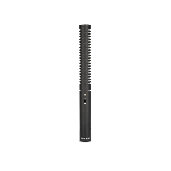 NTG1(Shotgun Mic)